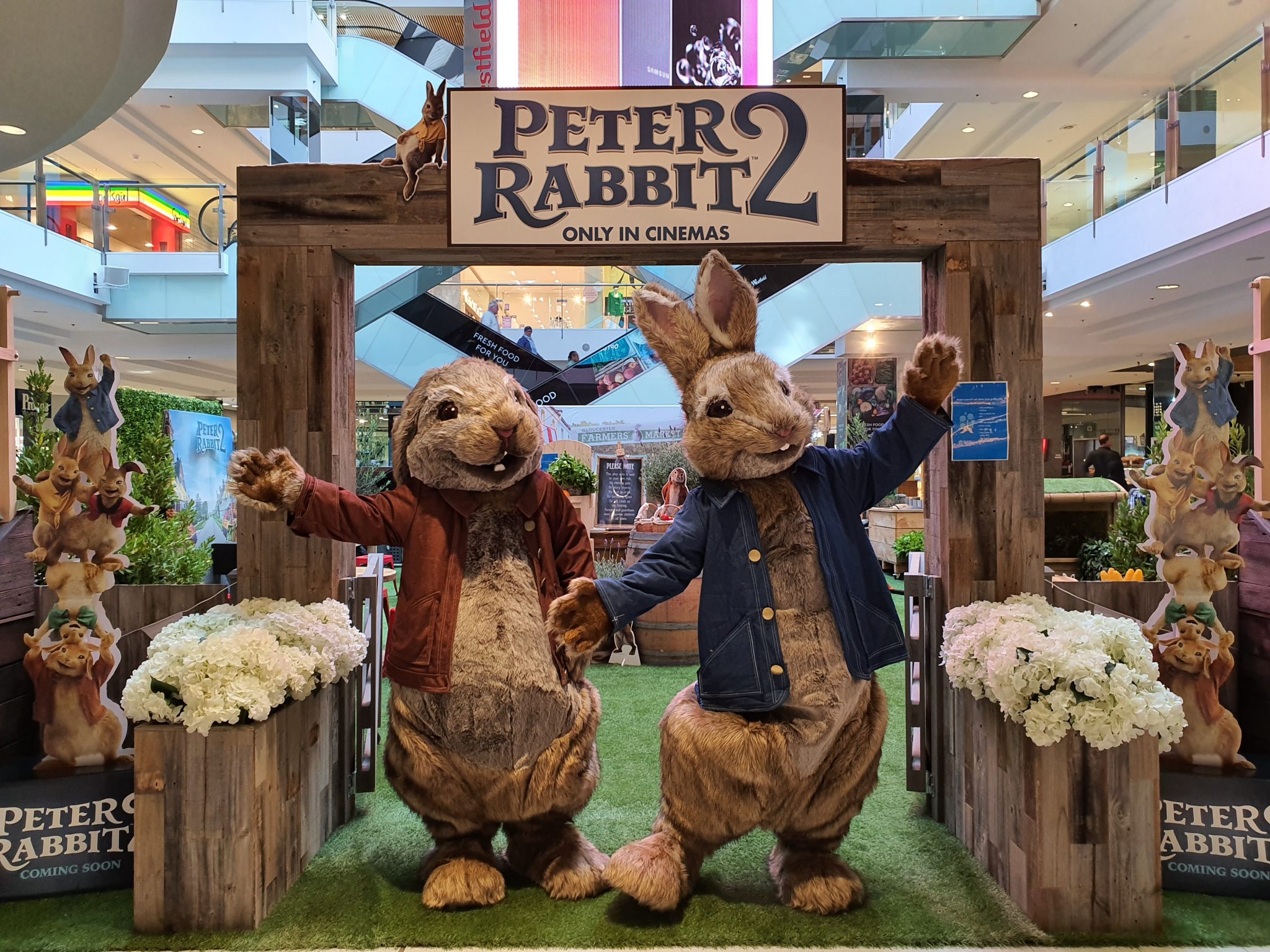 Australia's leading entertainment company Showtime Attractions