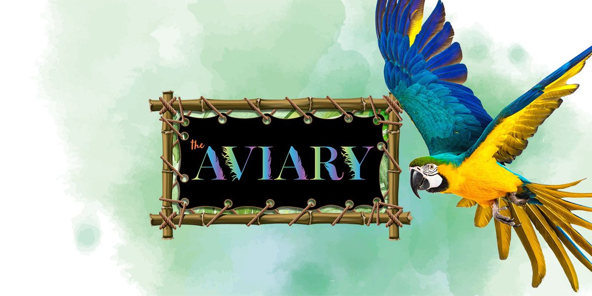 The-Aviary The-Aviary